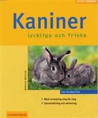 Kaniner : lyckliga och friska