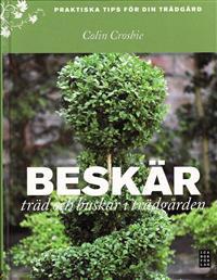 Beskär träd och buskar i trädgården