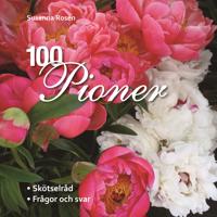 100 pioner