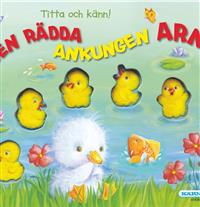 Titta och känn : den rädda ankungen Arne