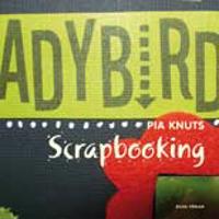 Scrapbooking : dekorera dina album