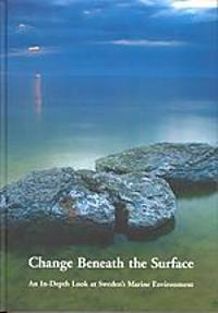 CHANGE BENEATH THE SURFACE, MONITOR 19