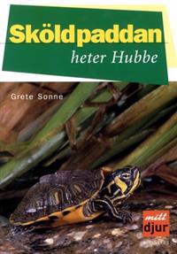 Sköldpaddan heter Hubbe