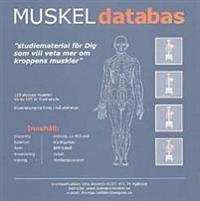 Muskeldatabas : studiematerial för dig som vill veta mer om kroppens muskler