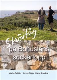 Strövtåg på Bohusläns sockertopp