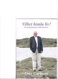 Vilket himla liv : en pingstpastors bekännelser