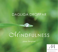 Dagliga droppar mindfulness