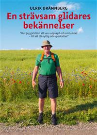 En strävsam glidares bekännelser : hur jag gick från att vara uppsagd och omtumlad - till att bli nyttig och uppskattad