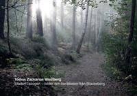 Staden i skogen : bilder och berättelser från Blackeberg