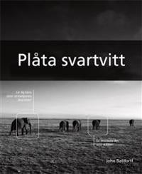Plåta svartvitt