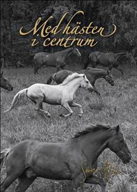 Med hästen i centrum