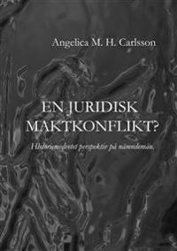 En juridisk maktkonflikt? : historiemedvetet perspektiv på nämndemän