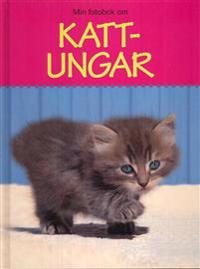 Kattungar