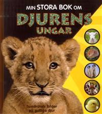 Min stora bok om djurens ungar