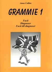 Grammie 1 Facit med diagnoser