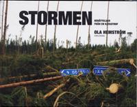 Stormen : berättelser från en katastrof