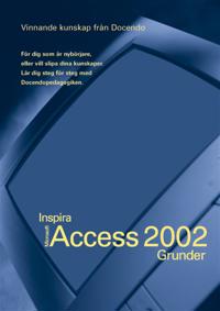 Microsoft Access 2002 Grunder