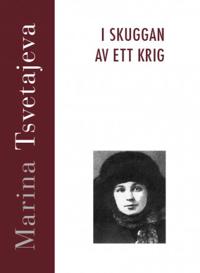 I skuggan av ett krig : möten och samtal 1917-1919