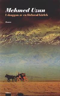I skuggan av en förlorad kärlek