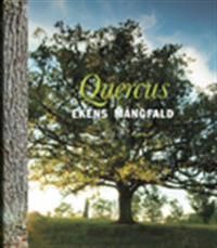Quercus : ekens mångfald