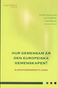 Hur gemensam är den europeiska gemenskapen. Europaperspektiv 2009