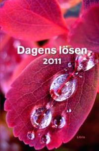 Dagens Lösen 2011