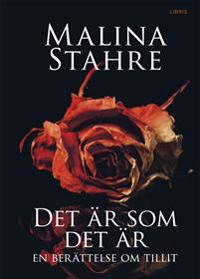 Det är som det är : en berättelse om tillit