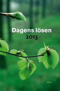 Dagens Lösen 2013