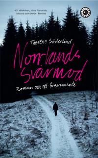 Norrlands svårmod : roman om ett försvinnande