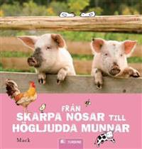 Från skarpa nosar till högljudda munnar