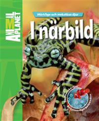 Märkliga och makalösa djur. I närbild