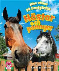 Hästar och ponnyer