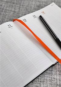 Whitelines Diary 2013