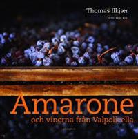 Amarone och vinerna från Valpolicella