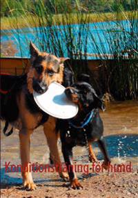 Konditionsträning för hund