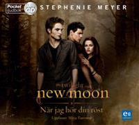 När jag hör din röst