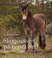 Skogsrussen på Lojsta hed