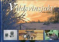 Vildsvinsjakt vid åtel