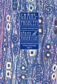 Gränsproblem i skadeståndsrätten