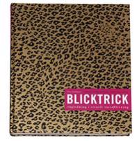 Blicktrick : vägledning i visuell varseblivning