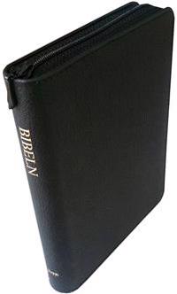 Bibeln : gamla och nya testamentet