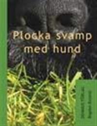 Plocka svamp med hund
