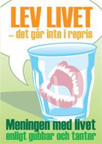 Lev livet - det går inte i repris