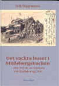 Det vackra huset i Möllebergsbacken : om 150 år av turism vid Kullabergs fot