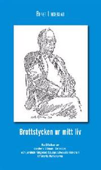 Brottstycken ur mitt liv