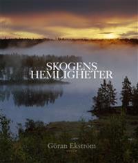 Skogens hemligheter