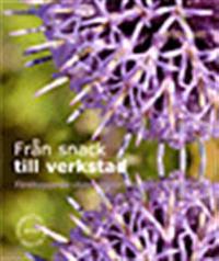 Från snack till verkstad : förebyggande utvecklingsarbete med ungdomar