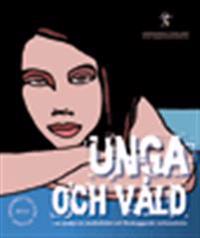 Unga och våld : en analys av maskulinitet och förebyggande verksamheter