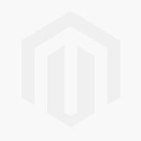 Gusem 2. Gutilandorum Universitas Scholarium et Magistrorum : tidskrift för Högskolan på Gotlands historiska förening