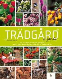 Trädgård : så gör du